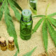 Cannabisolie mod PTSD